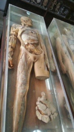 Viralands – This Museum in Thailand Showcases Some Special Beings From Your Nightmares