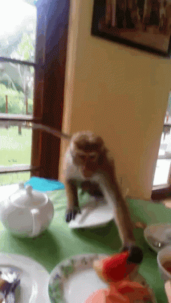 The sign said “buffet”