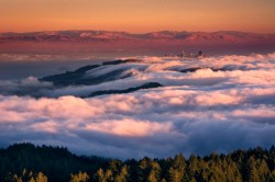 Foggy San Fransisco Sunset