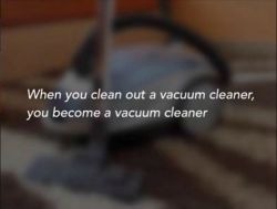 Or a vacuum cleaner cleaner