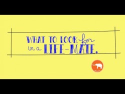 The Qualities to look for in a Life-Mate. – YouTube