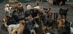 These 450 Rescue Dogs Might Be Homeless But They’re Certainly Not Helpless! – Three  ...