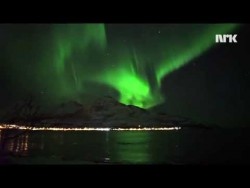 Whales Swimming Under The Northern Light // Hval jakter under nordlyset – YouTube