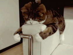 When you’re so lazy that you don’t even want to play