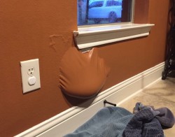 roof leaked during a big rainstorm, and the water ended up trapped inside the house paint.