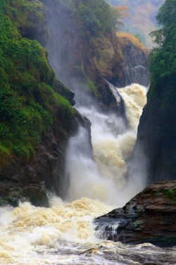 Murchinson Falls ,Uganda