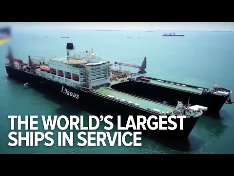 All The World’s Largest Ships In Service – YouTube