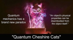 Here Are Three Quantum Paradoxes That Everyone Should Know About  | Physics-Astronomy