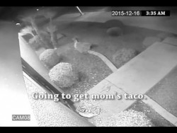 Burglars Just Want Tacos | Restaurant Trolls Burglars – YouTube