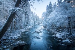 Yosemite