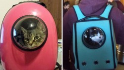 Genius Cat-Pack Lets Your Pet Travel Like A Little Astronaut