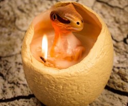 Hatching Dinosaur Egg Candle