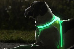 LightHound | HiConsumption