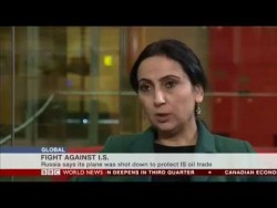 PYD should be supported in the fight against IS – YouTube