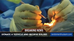 Random Enthusiasm Donate a Testicle? The Going Price Is $35,000