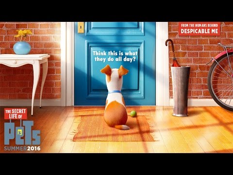 The Secret Life Of Pets – Official Teaser Trailer (HD) – Illumination – YouTube