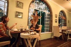 Dining with giraffes at Kenyan manor hotel – in pictures | Environment | The Guardian