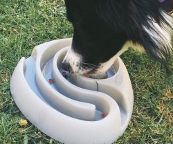 Food Maze Dog Bowl