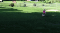 Somebody hold this thing still