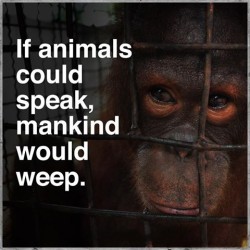 Well, some of mankind would