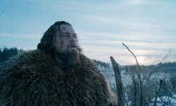 The Revenant is meaningless pain porn | Carole Cadwalladr | Opinion | The Guardian