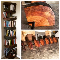 Tree of Knowledge Bookshelf with Live Edge Finish