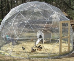 How To Build A Geodesic Chicken Dome | Home Design, Garden & Architecture Blog Magazine