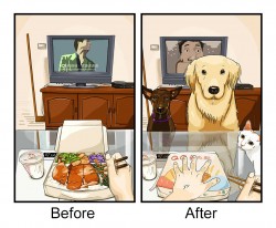 Life Before And After Getting A Dog (9 Pics) | Bored Panda