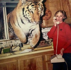 “..Yea i’m gonna have to let you go Julie, a fucking tiger just jumped through my wi ...