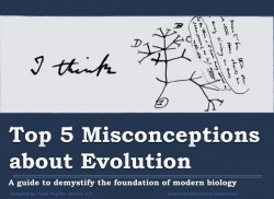This infographic breaks down the top five misconceptions about evolution – ScienceAlert