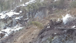 This Is How Fast a Little Landslide Turns Into a Full-On Shitstorm