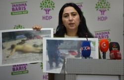 Yüksekdağ: As a Turkish Woman, I Take Remaining Silent to these Pictures As an Insult – en ...