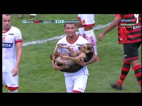 During a championship match between two Brazilian soccer teams this week, the action was brought to a standstill when a friendly dog decided to join in. No one really seemed to mind the interruption though.
“It’s not just the players who w ...