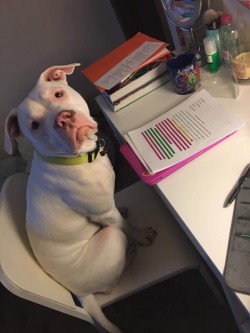 I proof read your paper, and I have to say I wasn’t pleased