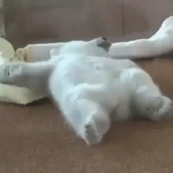 Me trying to get up in the morning﻿