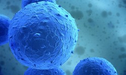 New Eraser Drug Can Recharge and “Revive” Stem Cells