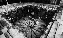 The ‘rat utopia’ experiment behind JG Ballard’s High-Rise | Jesse Olszynko-Gry ...