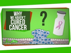 Why We Haven’t Cured Cancer – YouTube