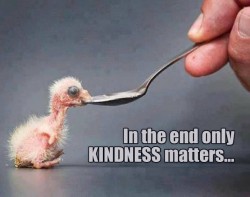 Not sure if I agree but its certainly pretty important