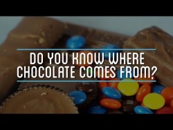 Do You Know Where Chocolate Comes From? – YouTube