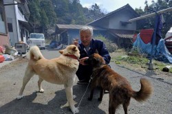 Just One Man Remains in Fukushima Radiation Zone – He’s Feeding All the Animals Left ...