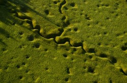 WWI trench a century later.