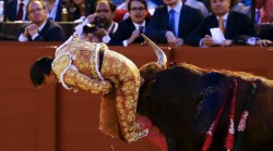 Out flanked: Angry bull gores matador in butt during Spanish fight (VIDEO) — RT Viral