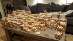 This is what 1,105 mini pallet coasters looks like