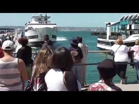 Whale Watching Boat Crashing Into San Diego Dock – YouTube