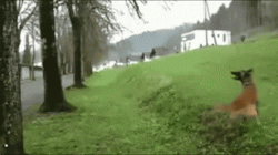 I’m sure this is the one you threw