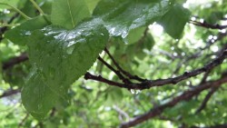 Some welcome rain