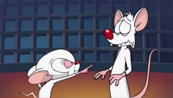 Every Single Pinky and the Brain Plan to Take Over the World, Ranked
