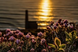 Sundown at Wheal Coates.