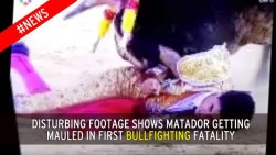 Matador is mauled to death in horrifying footage showing first bullfighting fatality in Spain th ...